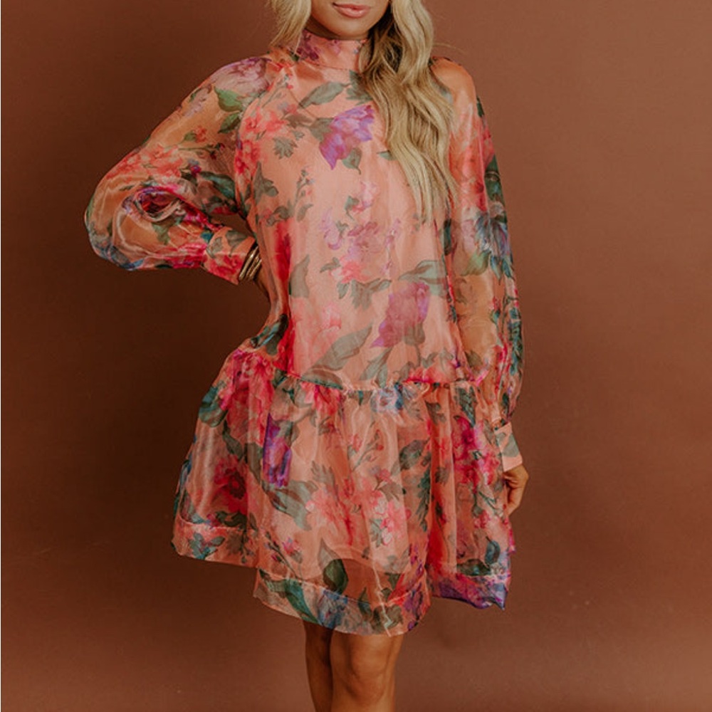 Sweet serenade Floral Organza Mini Dress - Picture 2 of 9